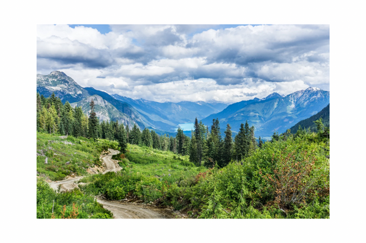 Backcountry Coconut Lime Lip Balm