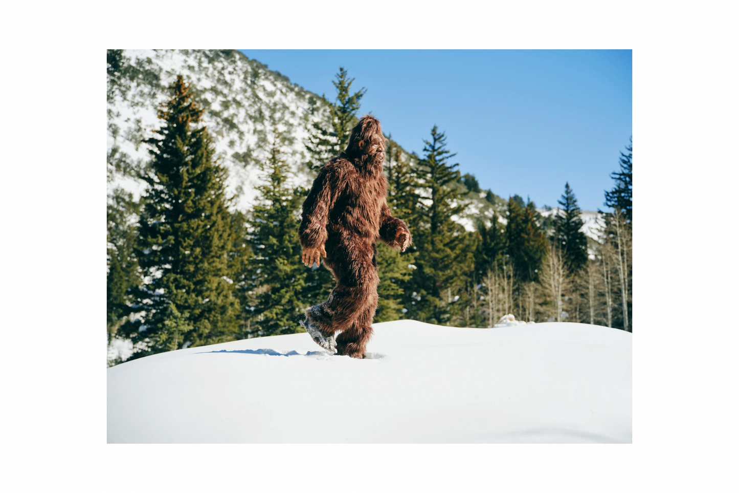 SASQUATCH S'MORES SHAMPOO & BODY SOAP BAR