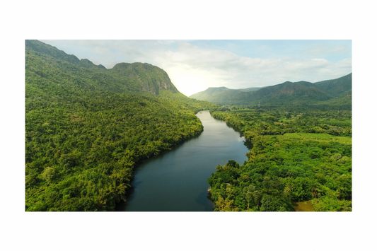 River Raspberry Lip Balm